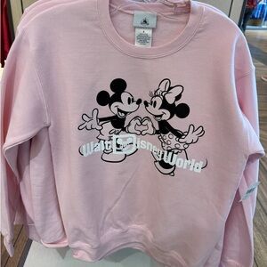 2025 Pink Valentines Disney World Sweatshirt Size Medium
